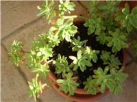 0d17ebf2-Picture 2097.jpg